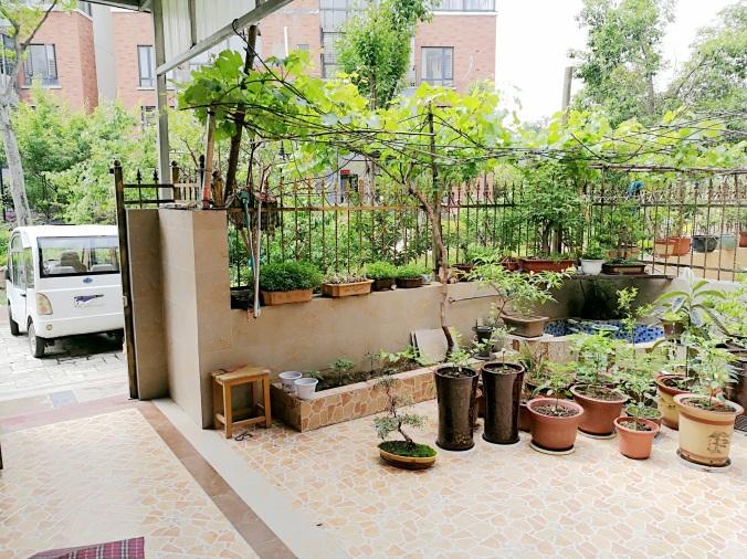 一楼带院子的房子,入住半年多,发现一些弊端,尤其是这4个方面