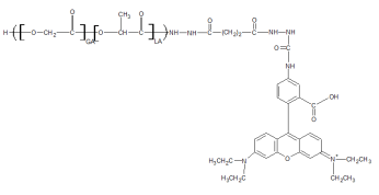 艾美捷plga-rhod熒光標記高分子研究方案