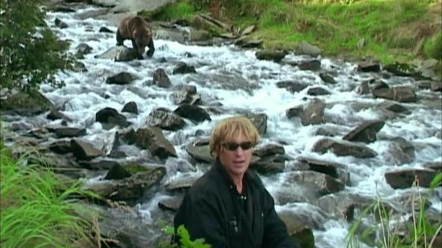 《灰熊人》:纪录片如何拍出跌宕起伏的故事感