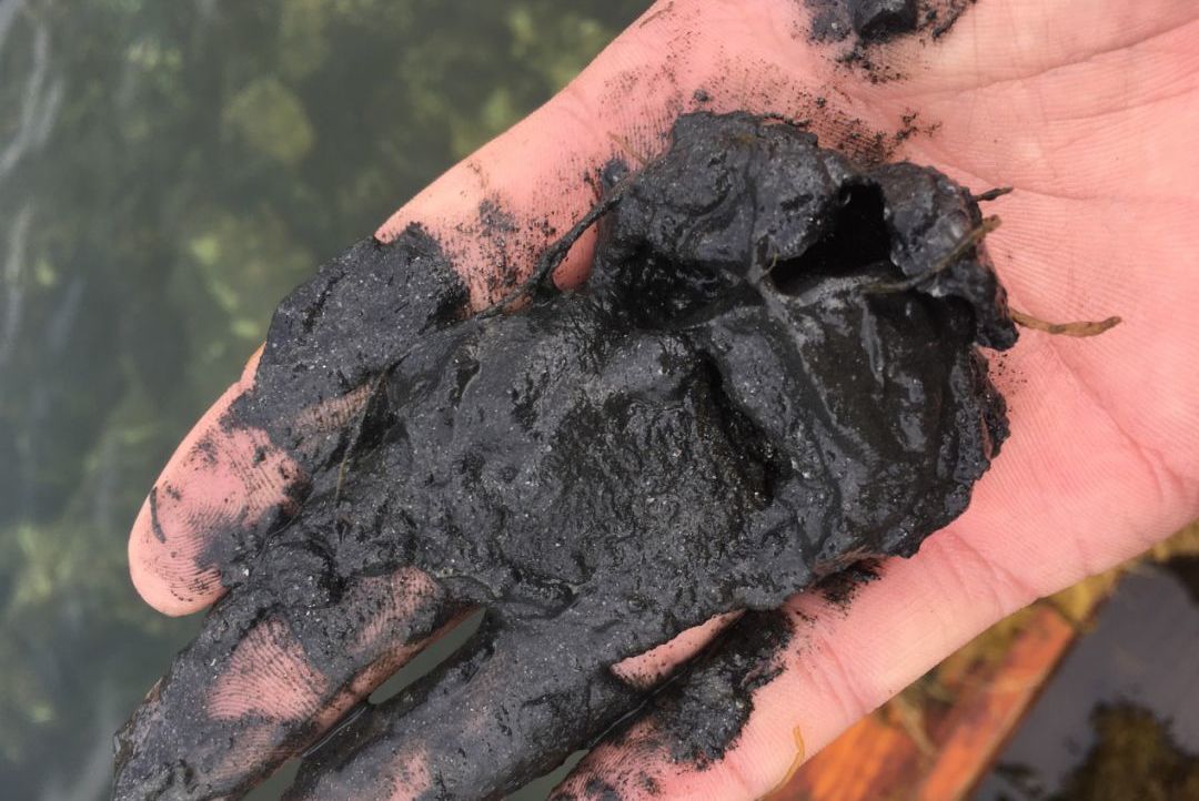 水产养殖的池塘一年能产多少垃圾?淤泥深的池该怎么解决?