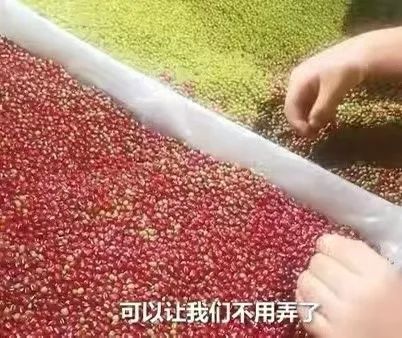 红豆绿豆韩国恐怖片图片