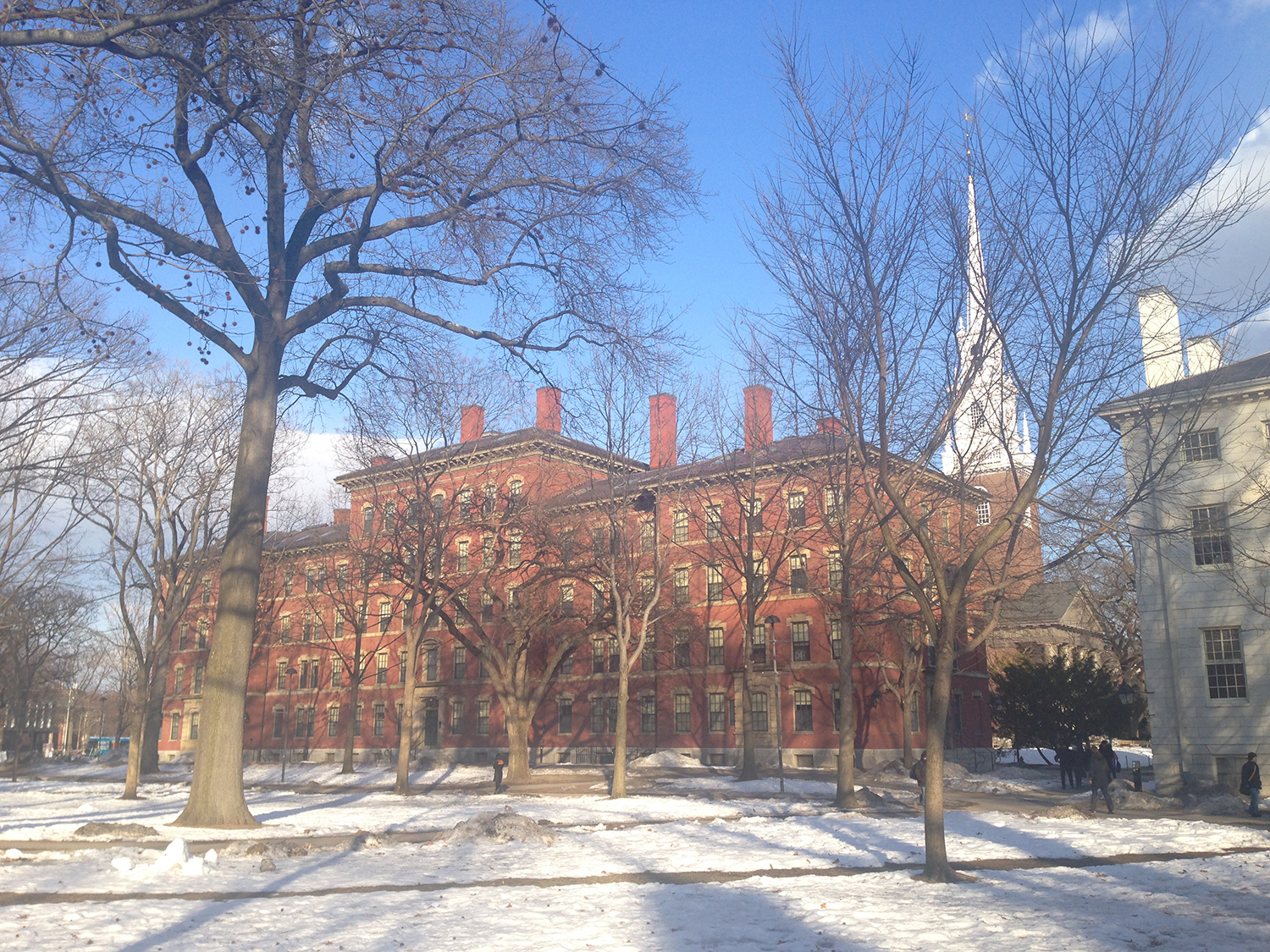 韦伯州立大学有哪些专业处于世界顶尖水平?