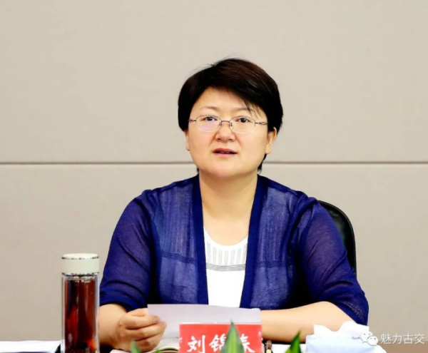 市委副书记,市长刘锦春主持召开市长专题会议研究防范化解金融风险