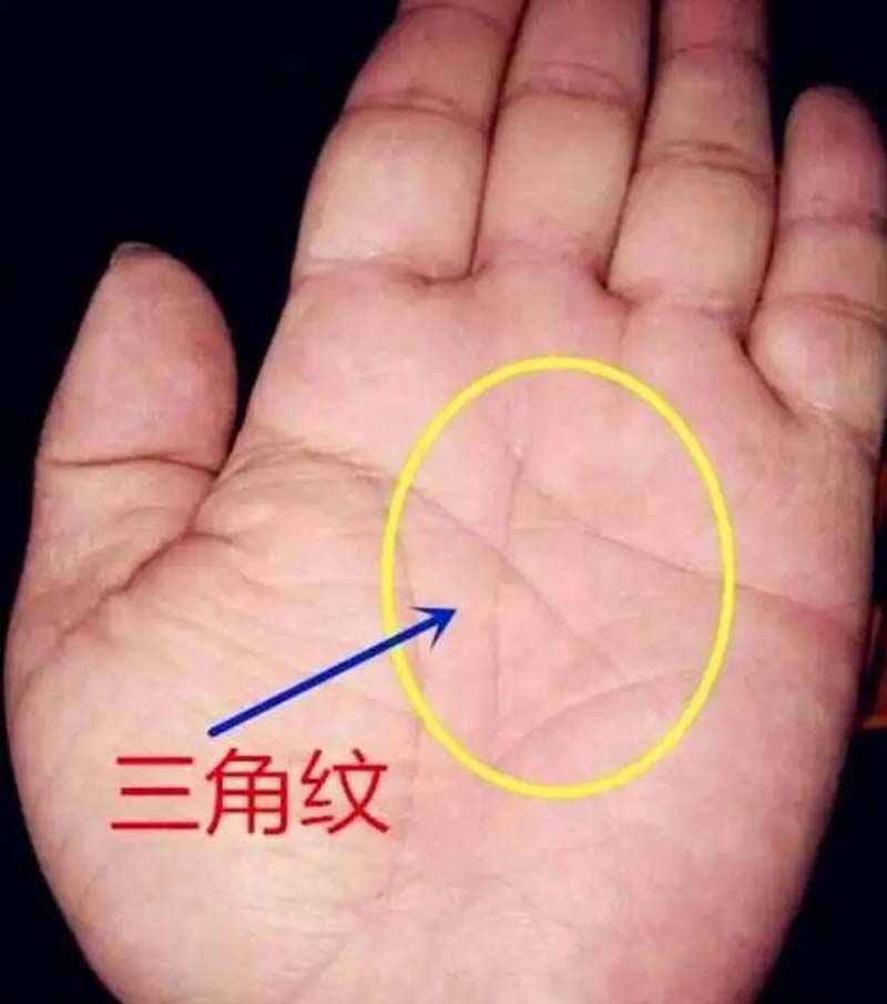 俗语三角纹在手,富到九十九中的三角纹指的是什么?值得信吗