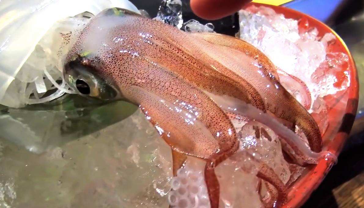 日本人有多残忍,用活鱿鱼做刺身,吃到嘴里还会动!