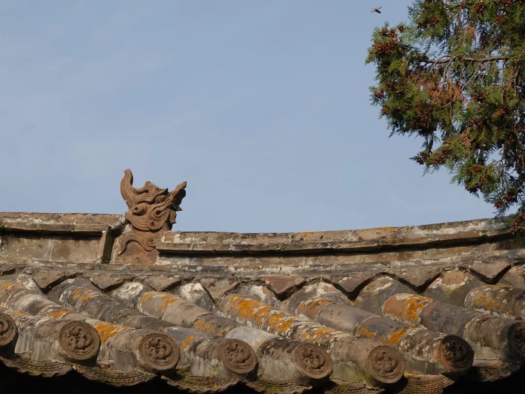 深山藏古寺,中国仅存的五座五代寺院之一,晋东南天台庵