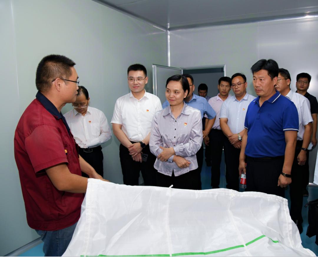 市委常委,统战部部长陈淑欣带队来新安调研指导工作