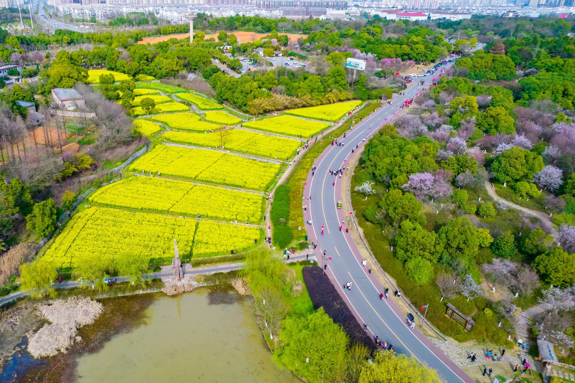 贵池杏花村景点图片图片