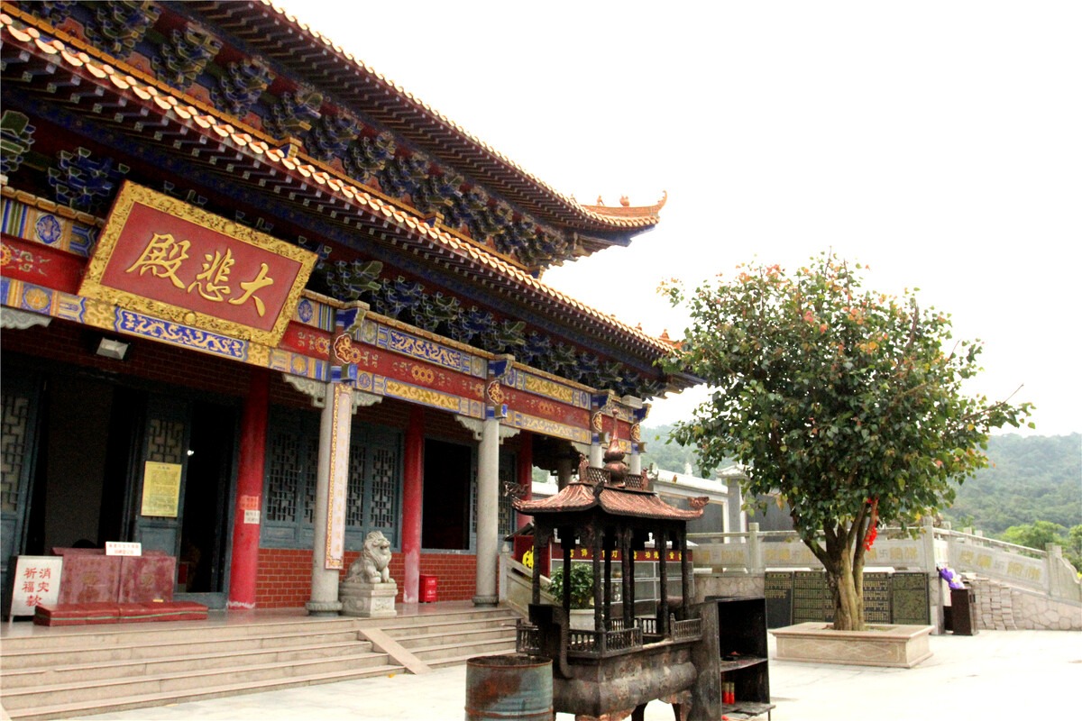 天津大悲禅寺图片
