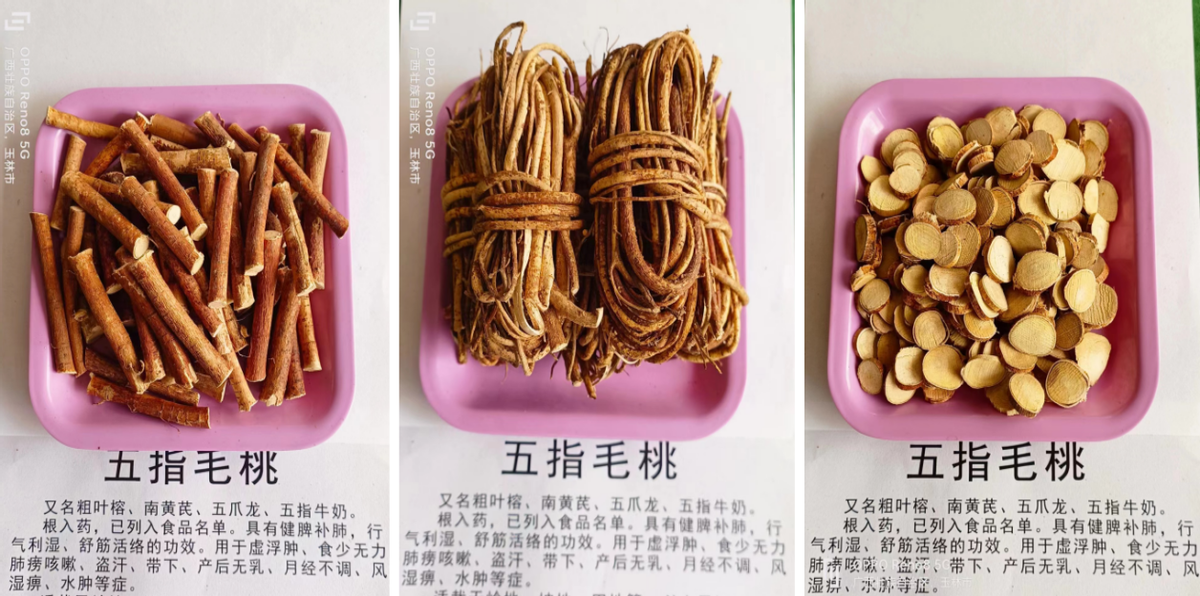 牛大力种植技术和修剪