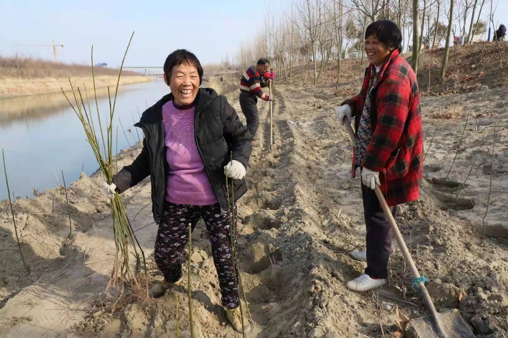 安徽宿州市:春回大地好风光 插枝成林绿满乡