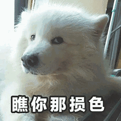 250_250gif 动态图 动图