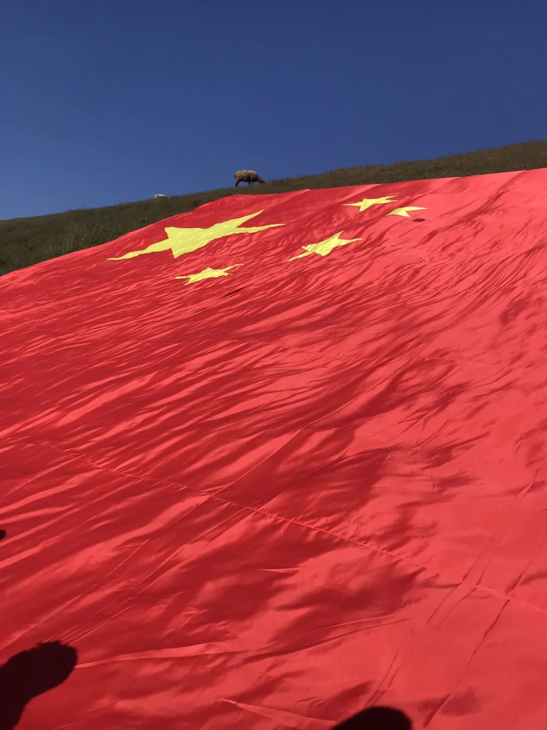 有奖征集进行中!最美不过这一抹红