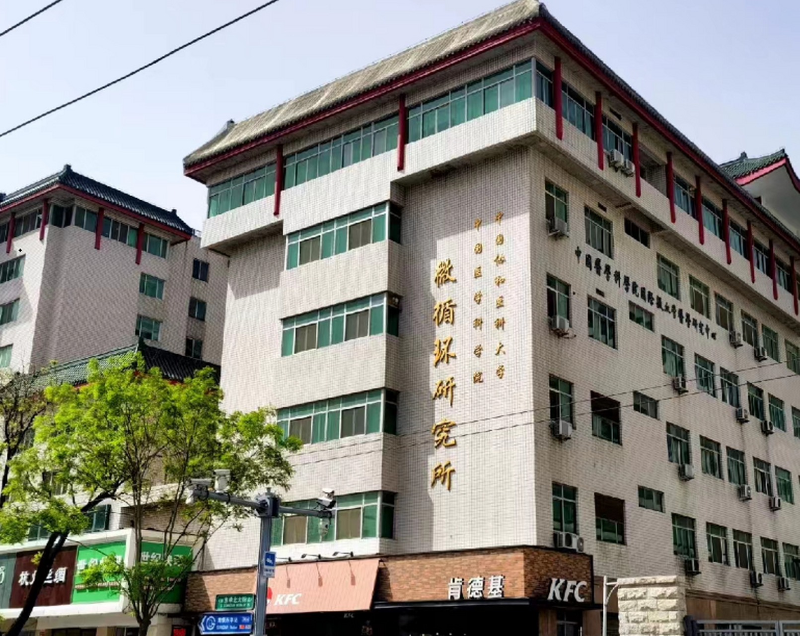 包含協和醫院陪診就醫黃牛掛號票販子號販子的詞條