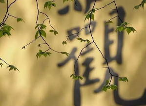 玄净随笔︱缘分弟子兵马几路,清风几位?教主是谁?有何使命?