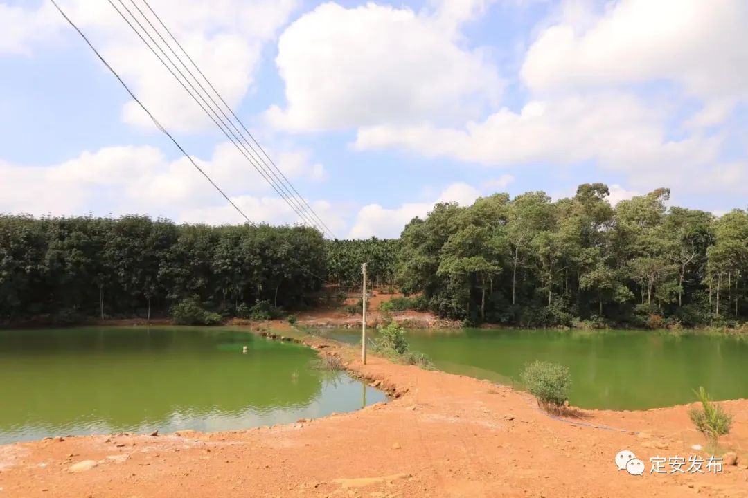 我为群众办实事丨定安多部门联动 迅速化解金鸡岭居六队饮水安全问题