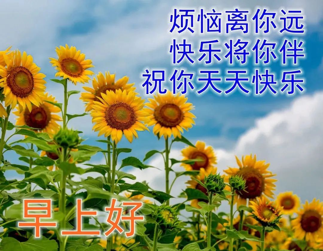 早上好带字最漂亮图片图片