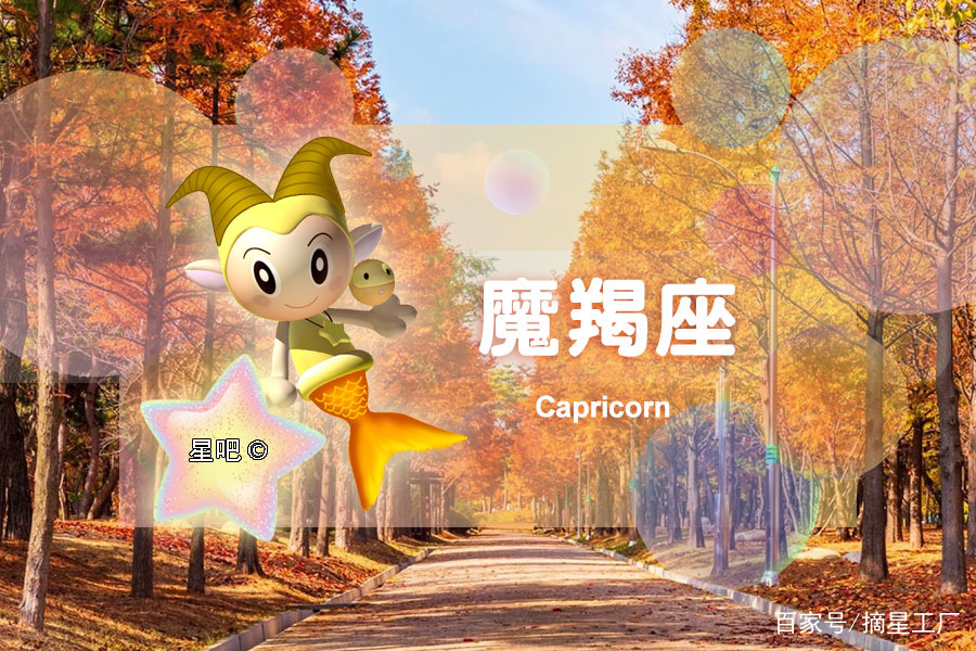 11月16日是什么星座、11月16日是什么星座男生