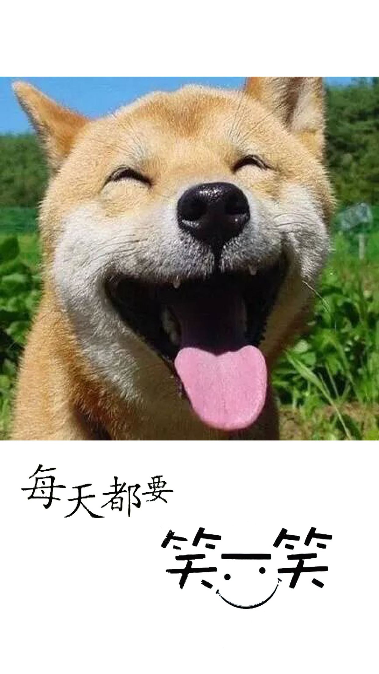 女人长寿的几个特征,对照一下自己有哪些?