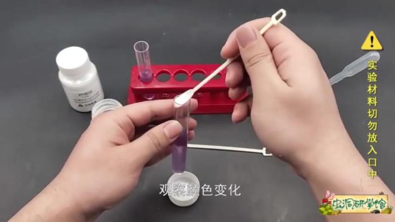 植物酸碱指示剂 花青素的变色魔力 儿童科学探索小实验 母婴育儿 早期教育 好看视频