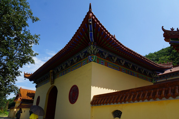 长安人的大鱼海棠