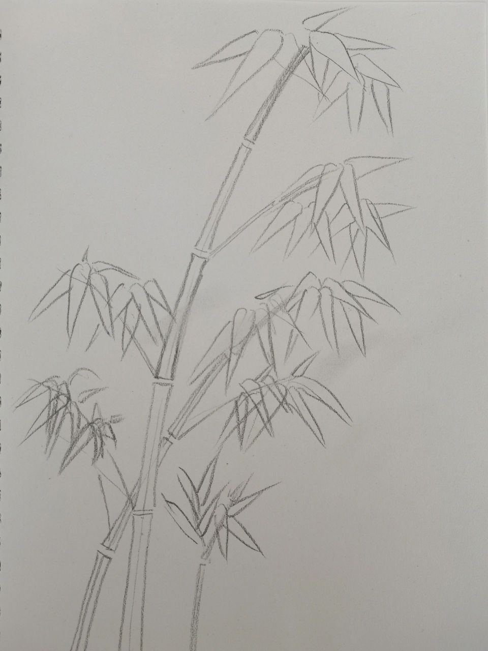 简笔画(114)跟我一起画竹子