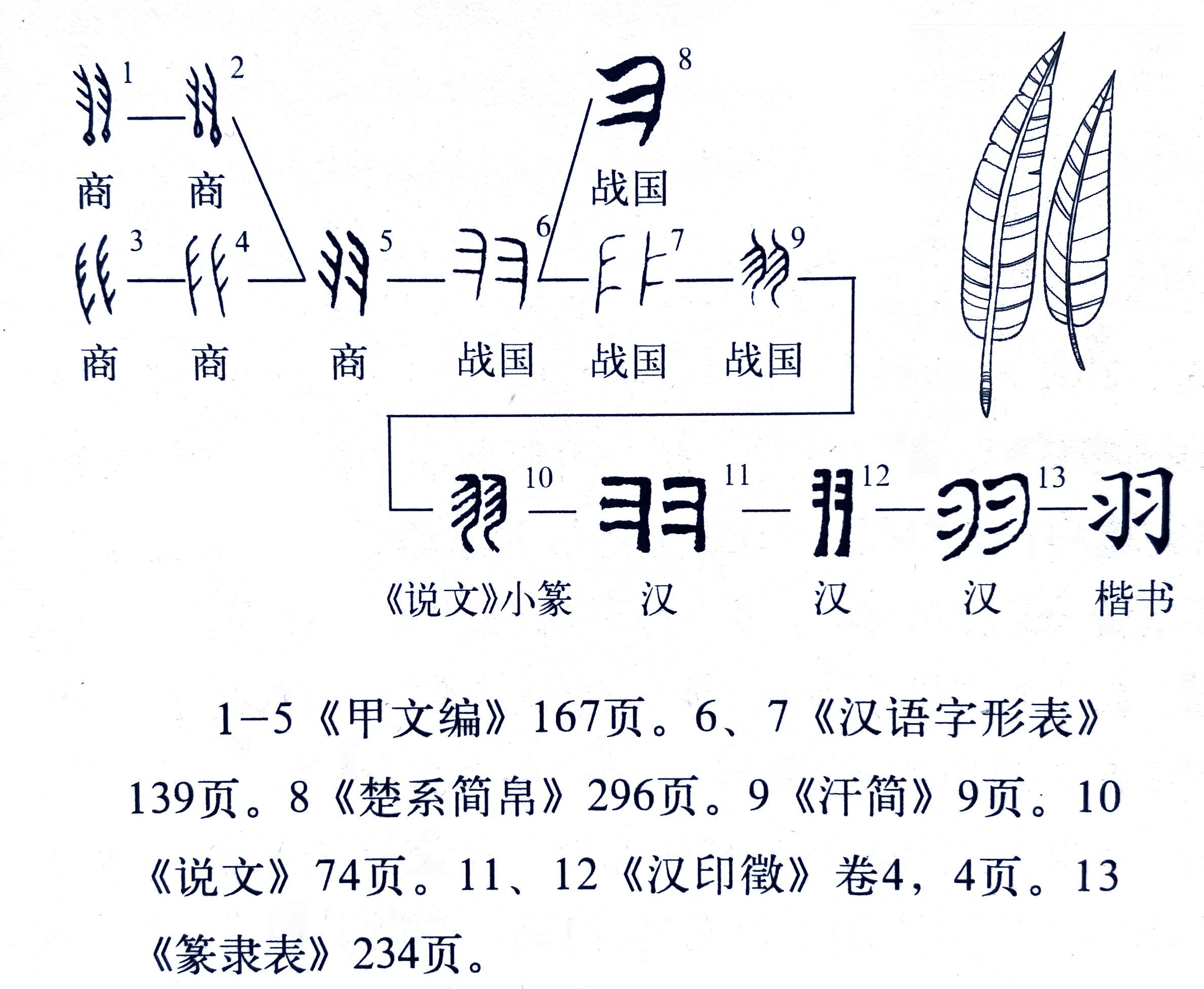 羽字取名的寓意是什么图片