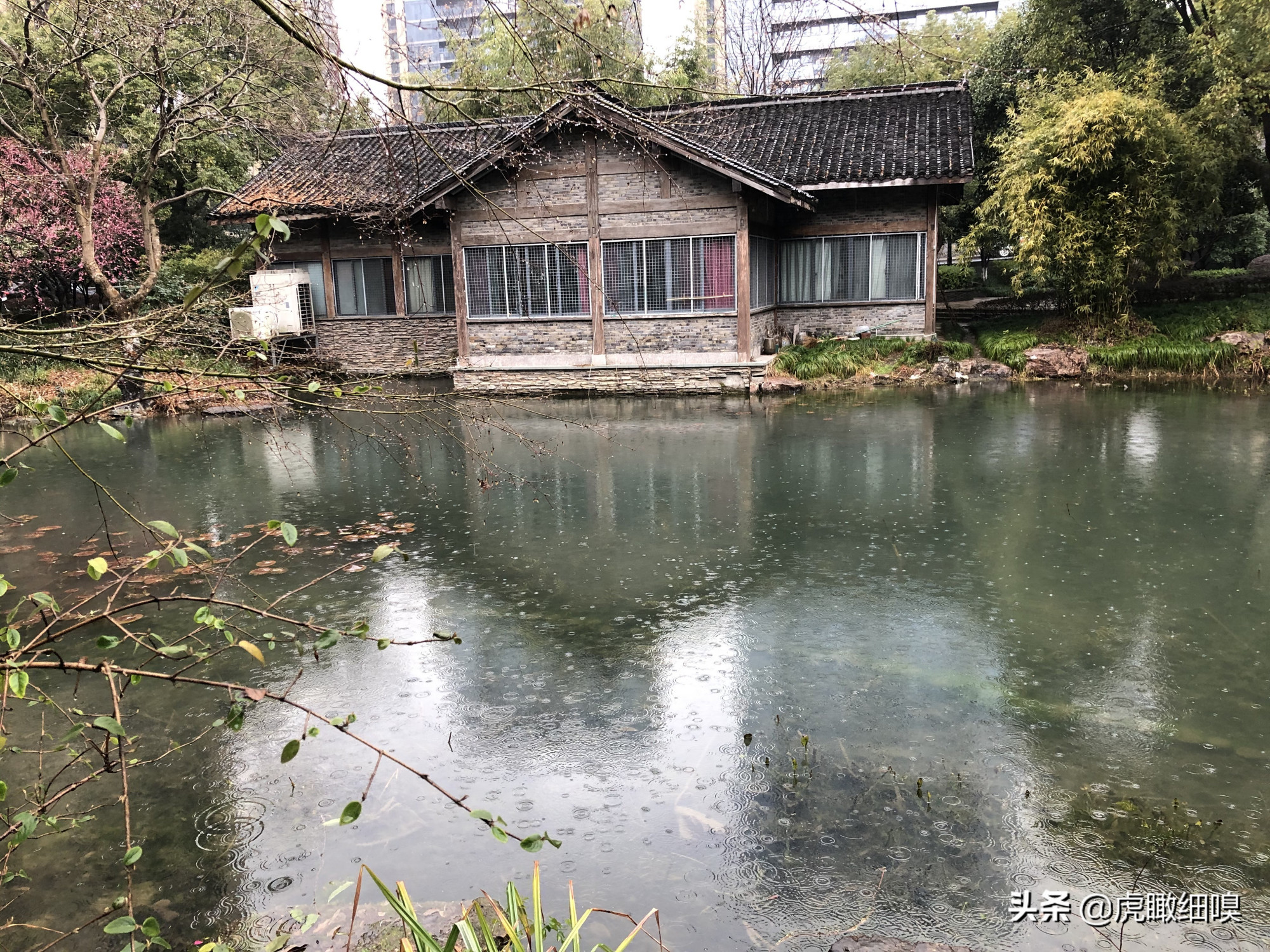 临平水景公园:好似散落于闹市中的一串珍珠的公园