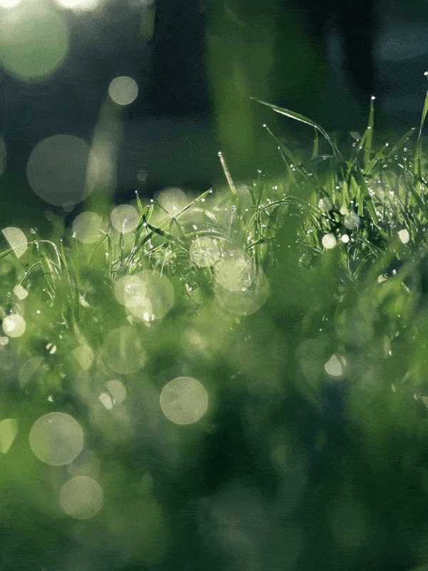 600_800竖版 竖屏gif 动态图 动图