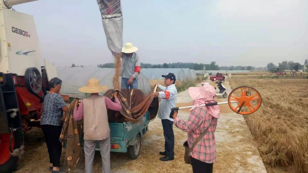 阜南县会龙镇:午收困难不用愁 党员志愿来帮忙