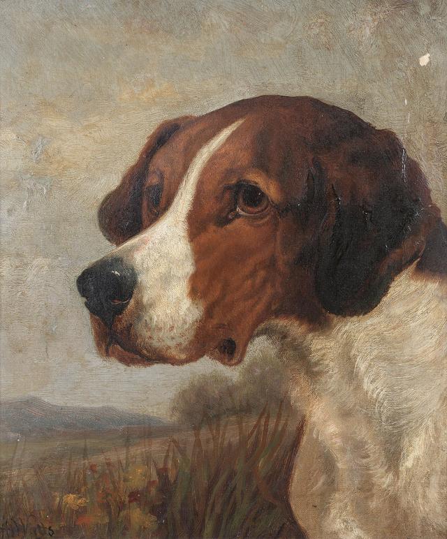 艺术家笔下的写实油画宠物狗100幅