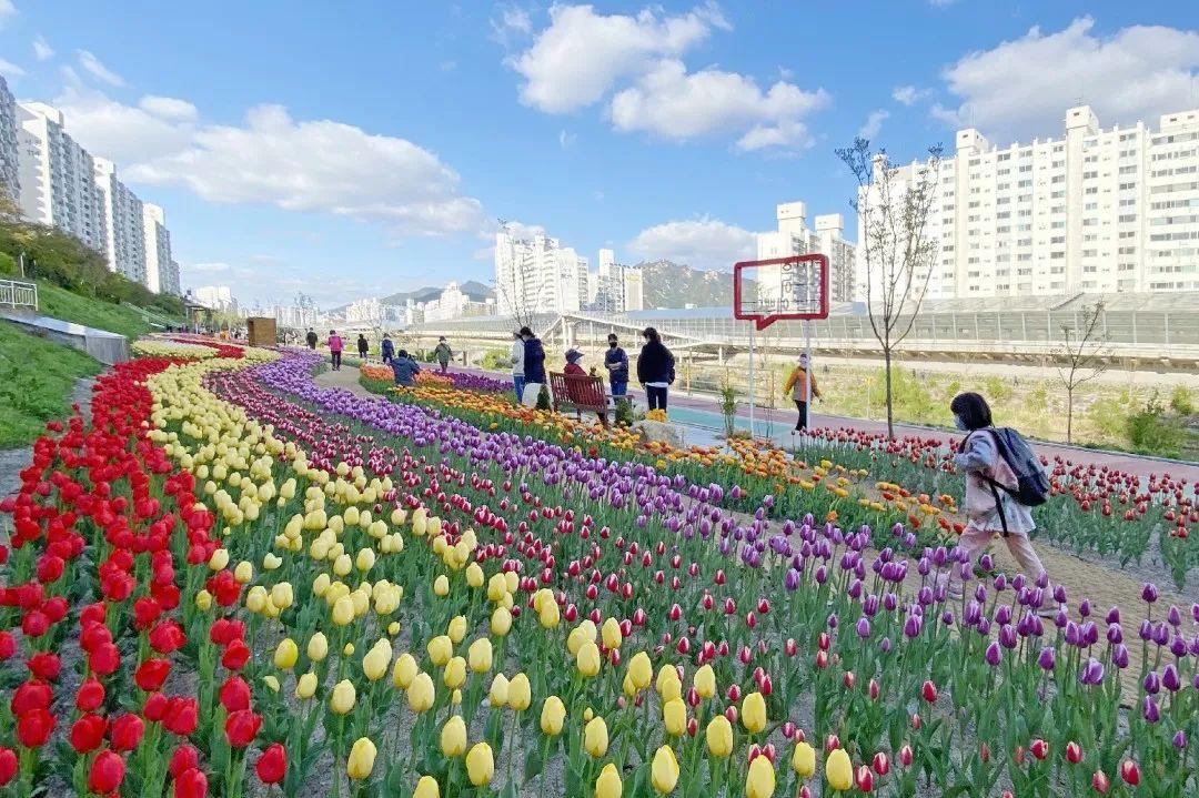 韩国庆尚北道,首尔市道峰区,首尔市瑞草区——2022服贸会"一带一路"