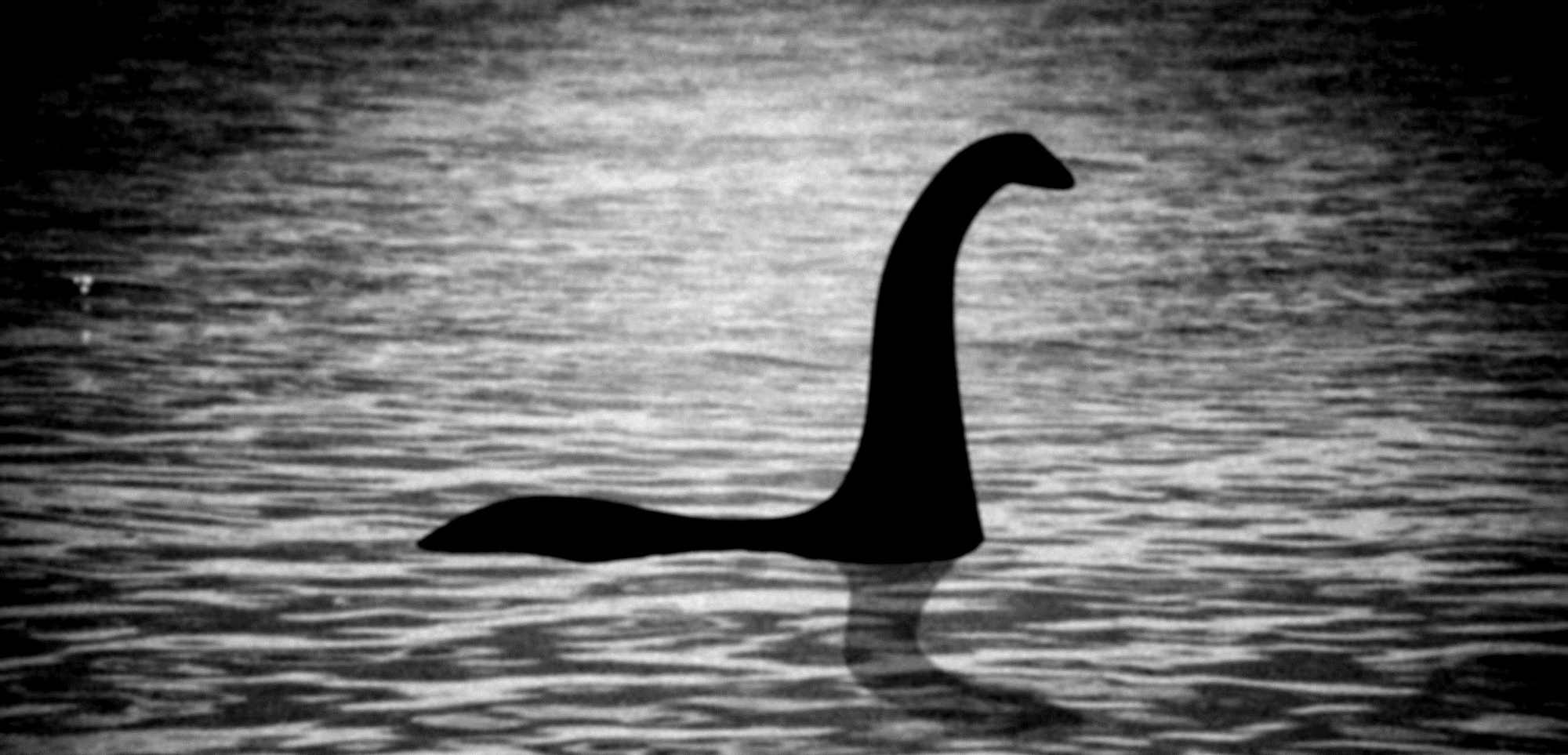 尼斯湖水怪不是怪兽,是鲸鱼的生殖器?生态学教授语出惊人引争议