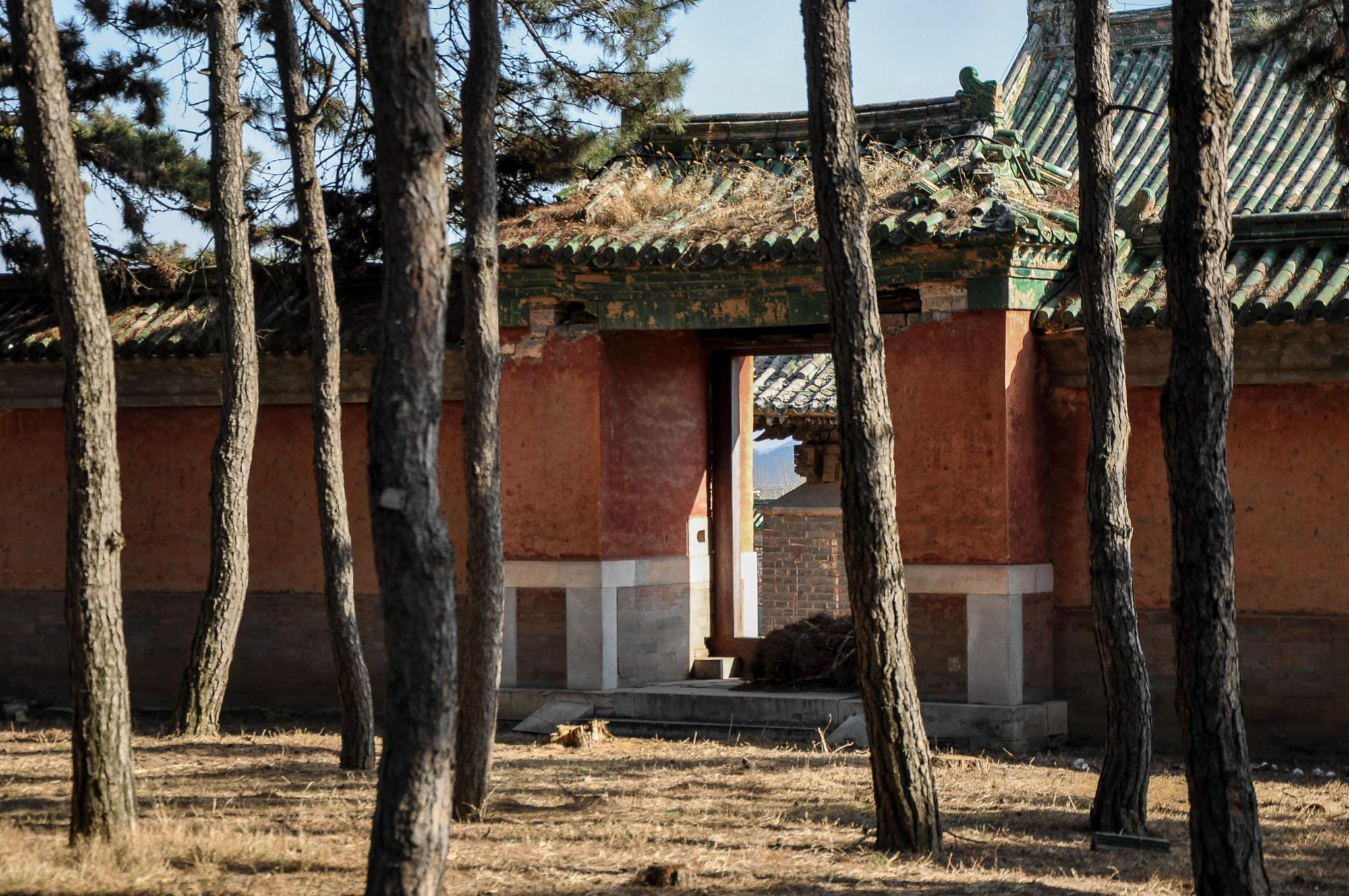 搜嫩不搜老,葬饥不葬饱,清东陵之定陵妃园寝