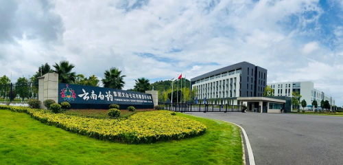 云南白药展望未来:董明谈生态企业发展与满足用户需求