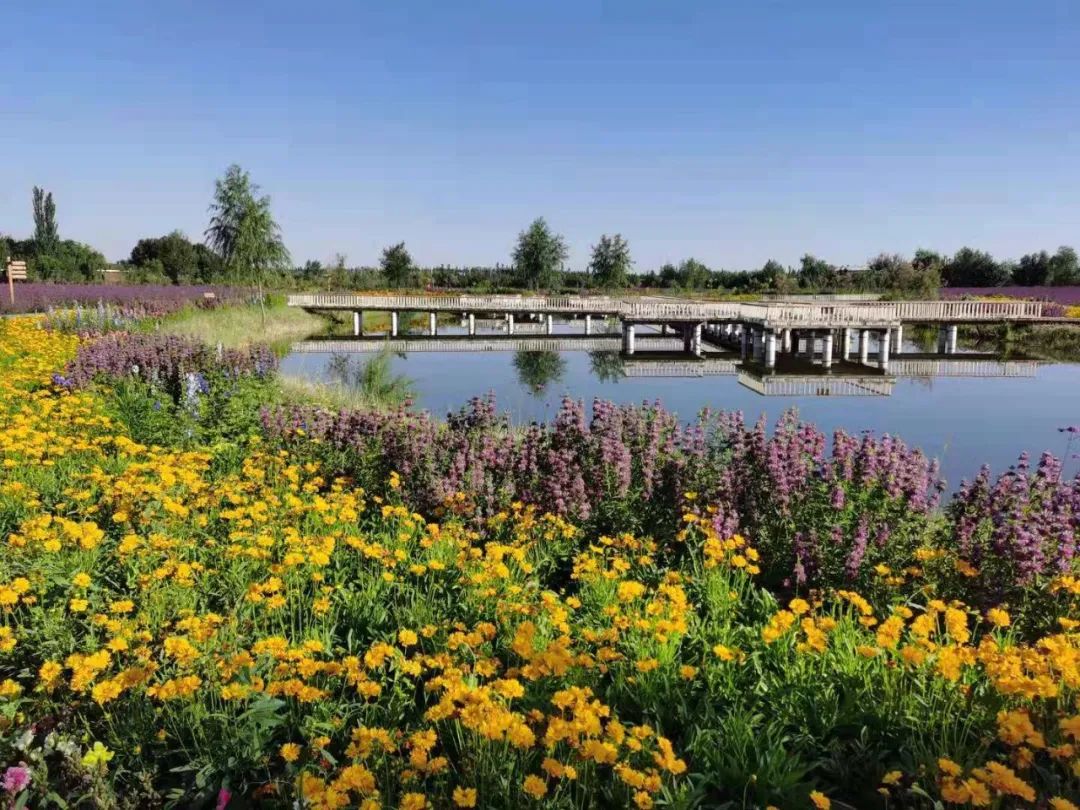 金昌市金川区全面提升园林绿地景观质量