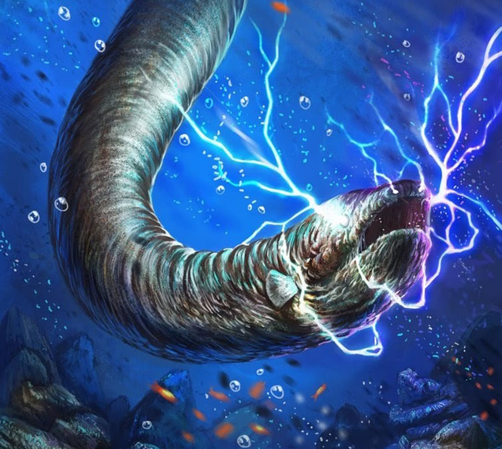 亚马逊"河怪接连杀人",3名牛仔同时遇害,钓鱼人钓上"凶手"