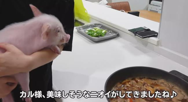 日本:让国人看不懂的3个"变态行为",又尴尬又无语!