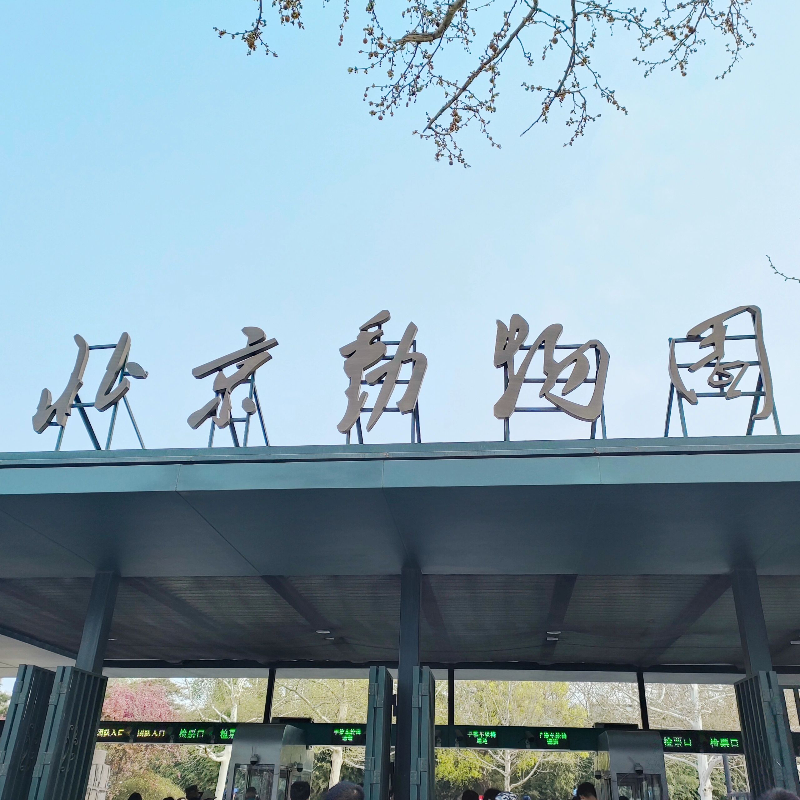 北京动物园 地铁4号线动物园站a口出来,左手边就是动物园正门