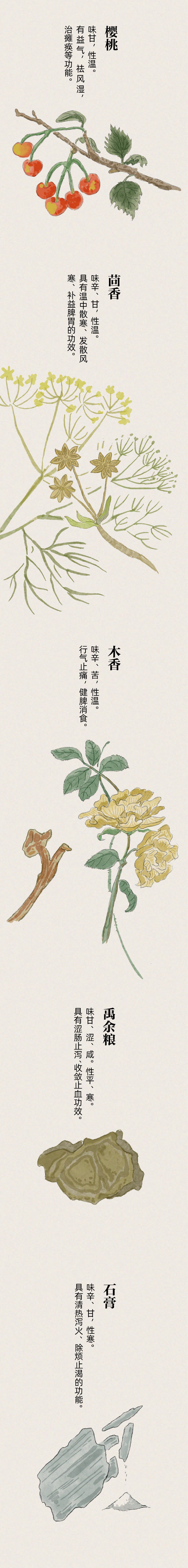 诗词中的中草药(附手绘长卷)