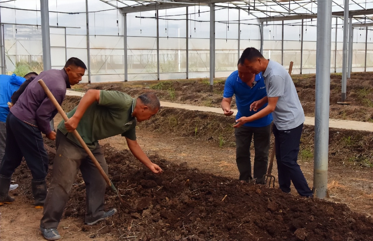 蚯蚓干价格暴涨,蚯蚓遭灭绝式捕杀!专家建议:保护起来