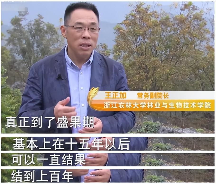 回顾农村大姐投百万种核桃不卖果子不卖树靠仙草年入2千万