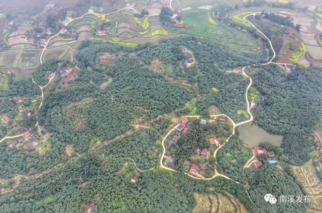 小康宜宾·乡村行⑩|南溪区石塔村:从"一穷二白"到"椒香满园"