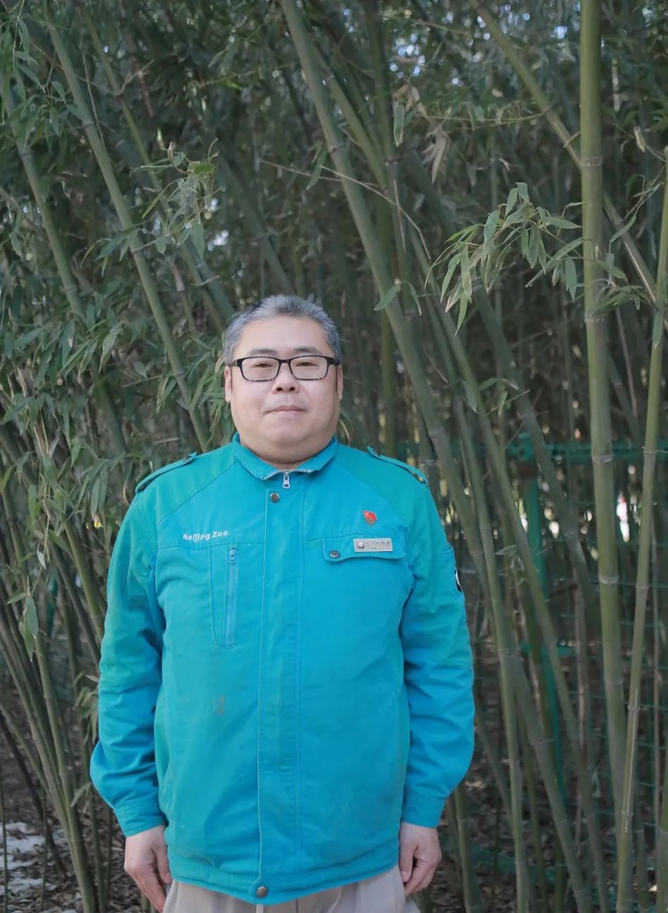 开讲|给国宝大熊猫当"老师"——李常青