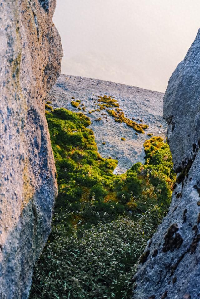 猫儿山风景图片