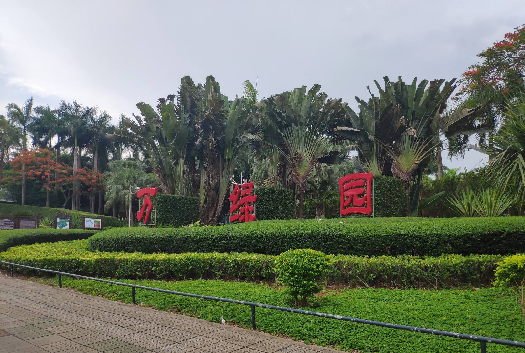 41岁男子海口万绿园轻生,高挂树上一动不动,留下遗言令人心痛!