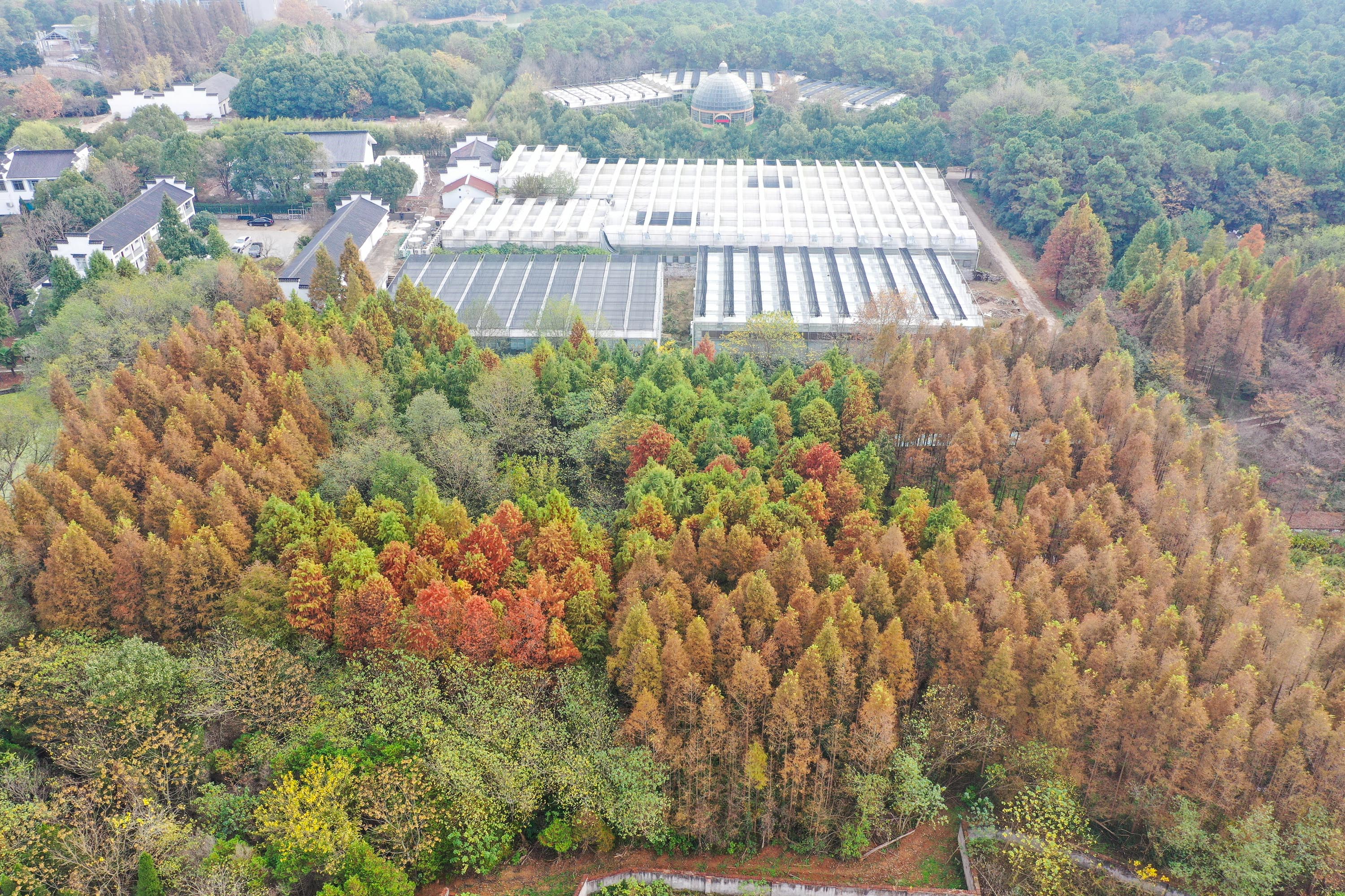 江苏句容:画中农博园