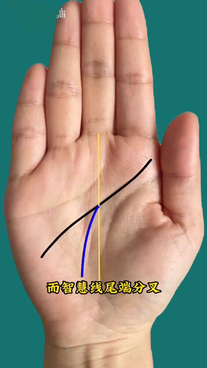智慧线分叉有什么寓意?智慧线在中指下方分成两条/智慧线尾端分