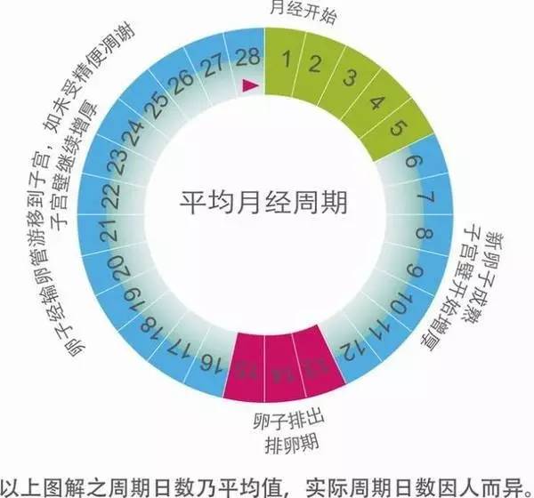 月经3天干净和7天干净的女性,哪种衰老得更快一些?不妨了解