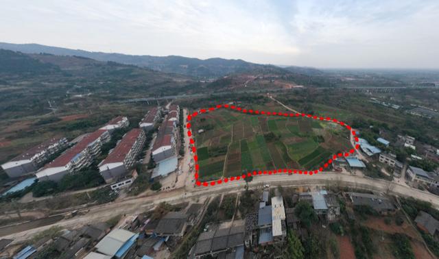 成都金堂又新镇100亩核桃园出租,县城边50亩耕地土地出租